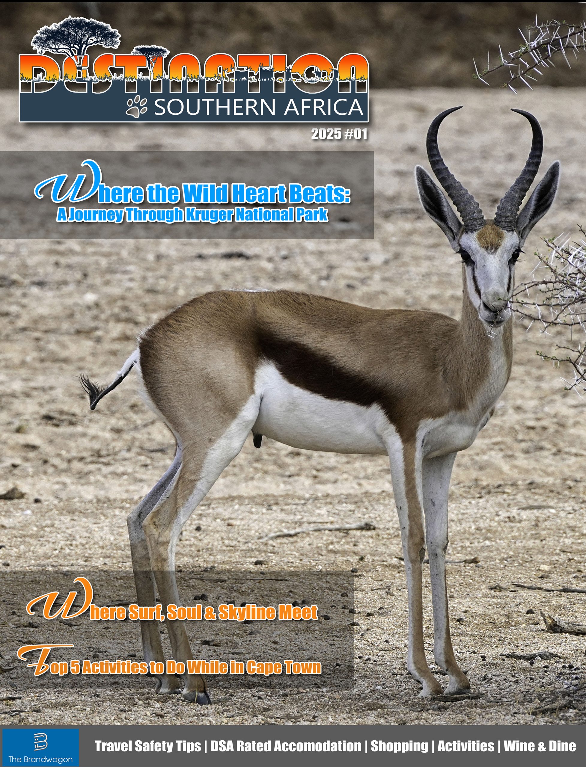 Advertisement Image