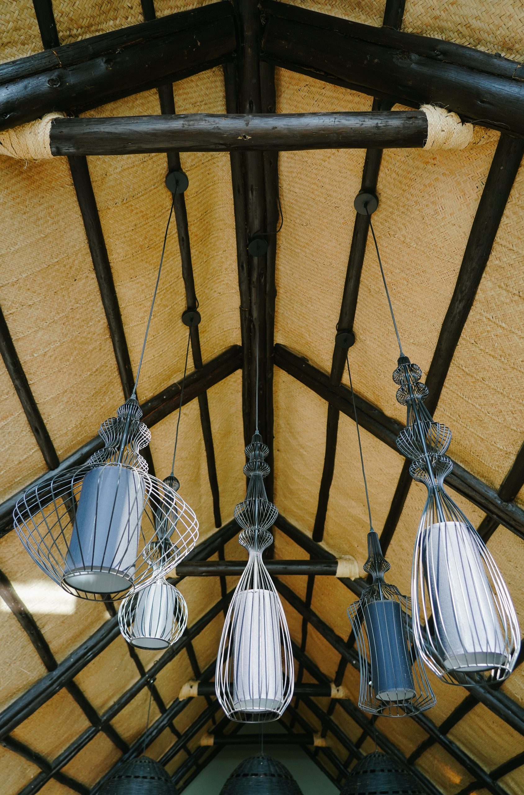 DSC04160 DSC04160