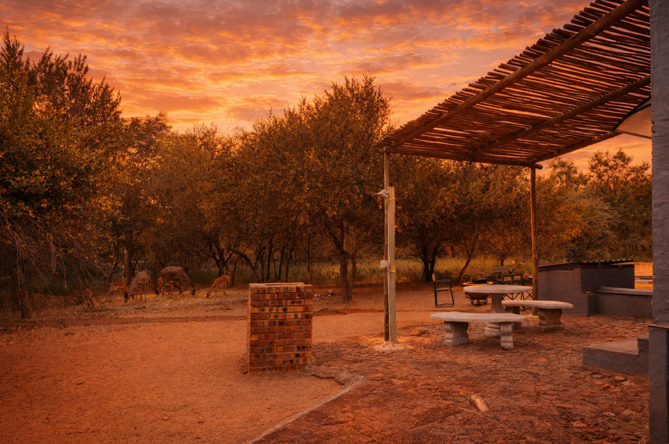 Screenshot 2026-04-22 093653