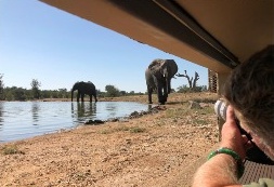 Elephants photographed from the lodge hide
