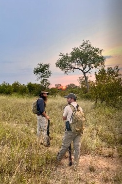 Travellers walking in the bushveld at sunset