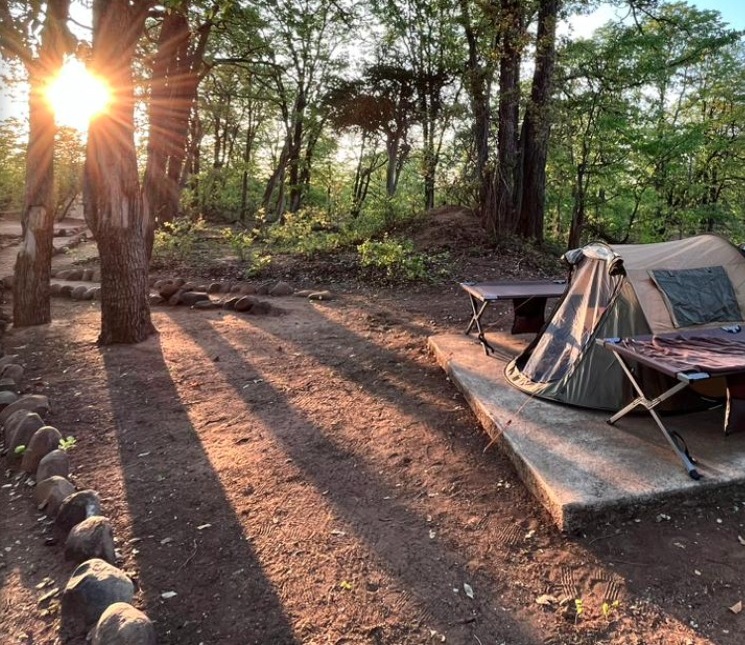 Safari tent in a wooded camp at sunset